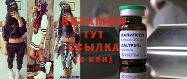 сатива Беломорск