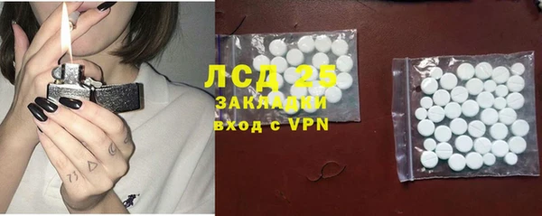 сатива Беломорск
