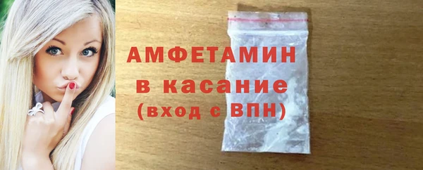 сатива Беломорск