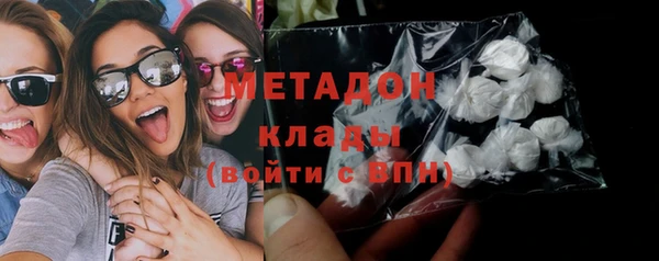 сатива Беломорск