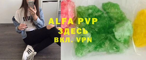 сатива Беломорск