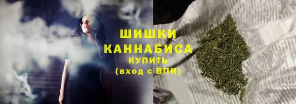 сатива Беломорск