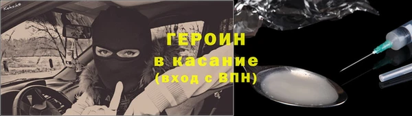 сатива Беломорск