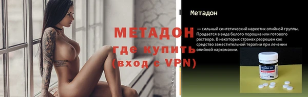 сатива Беломорск