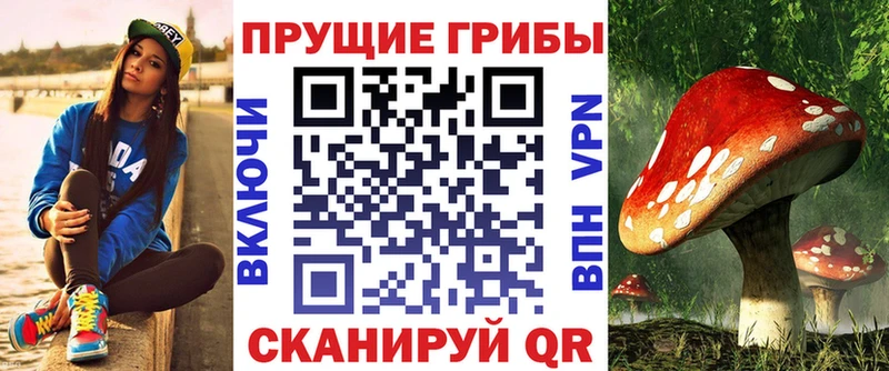 купить наркотики сайты  Высоковск  Галлюциногенные грибы MAGIC MUSHROOMS 